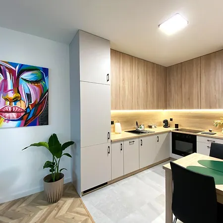 Panorama Zamkowe Universal Апартаменти Ряшів